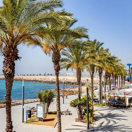 Caballero De Rodas טורבייחה